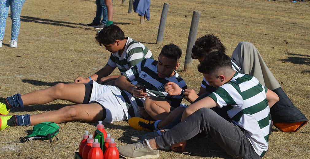 rugby universitario