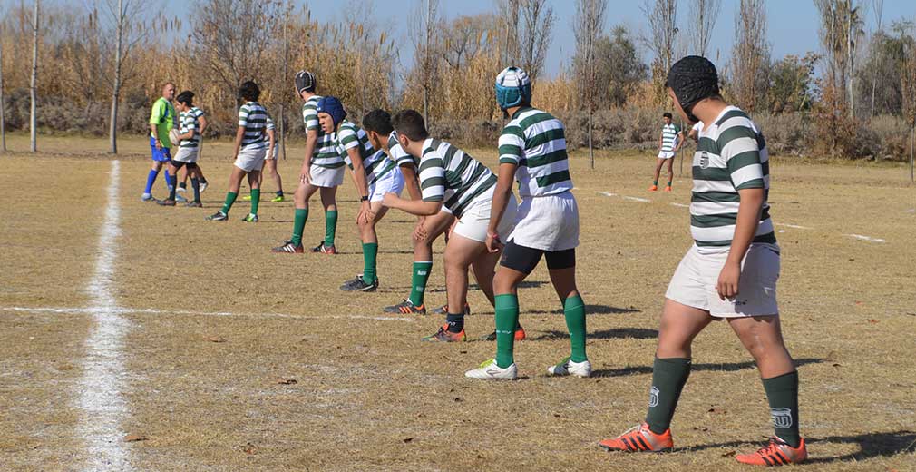 rugby universitario