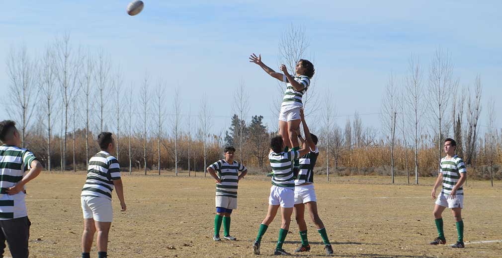 rugby universitario